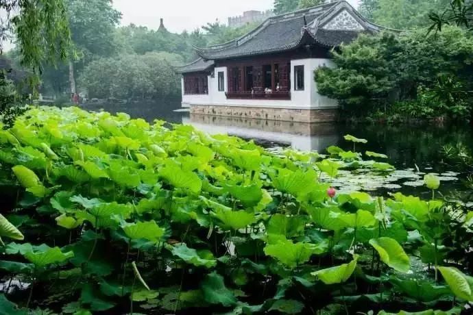 吵翻了!上海16个区终于正面PK!哪个是你心中的“扛把子”?