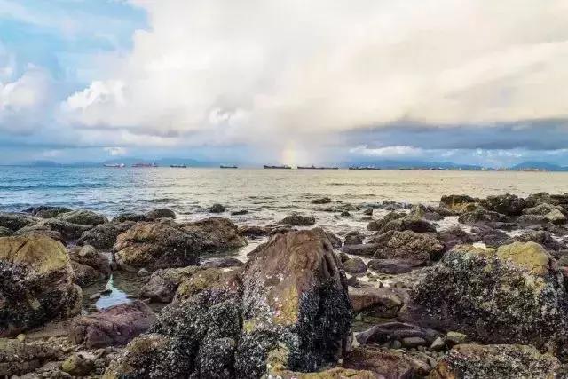 深圳最值得去的十大海滩,深圳最值得去的9个海滩