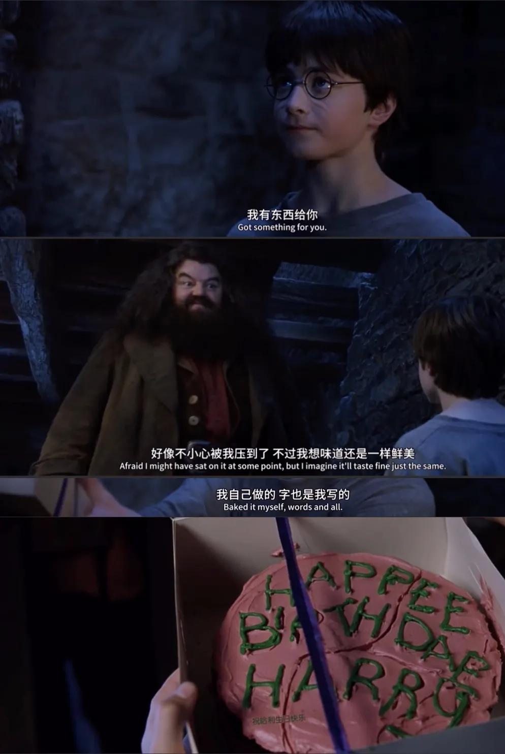 哈利波特的一生,哈利波特人物一生回忆录