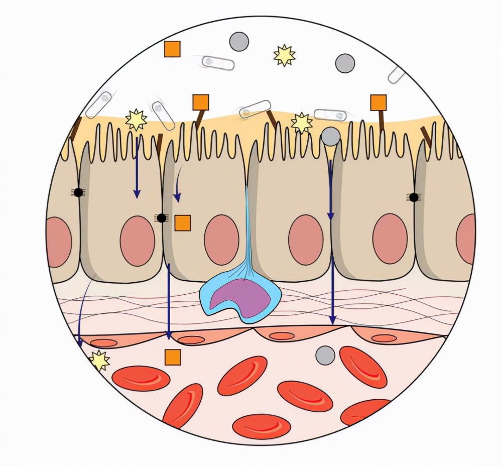 飞鹤星飞帆奶粉口碑最好的前十名,飞鹤星飞帆是水分解奶粉吗