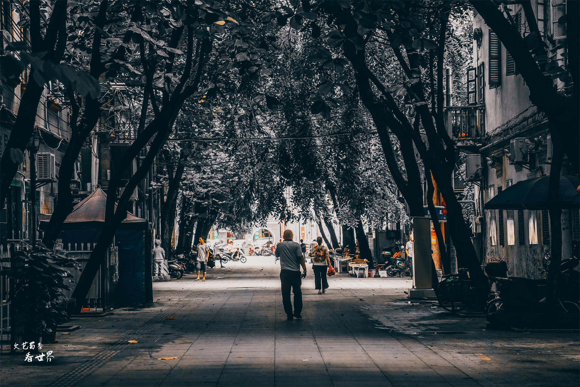 北方人去三亚过冬好吗,北方人养老适合去哪里