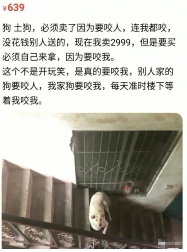 珍藏很久的40张趣图看完都笑疯了,逗趣图片
