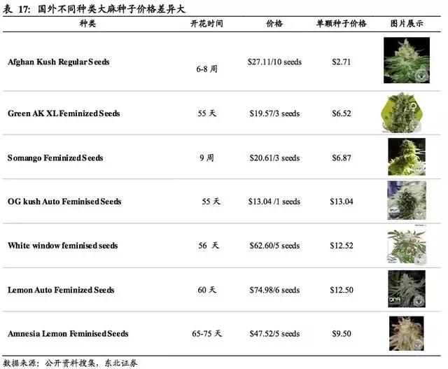 工业*麻大**：蓝海市场正待“收割”