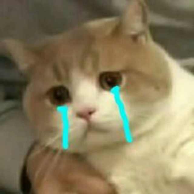 表情包我能怎么办,那我怎么办表情包可爱