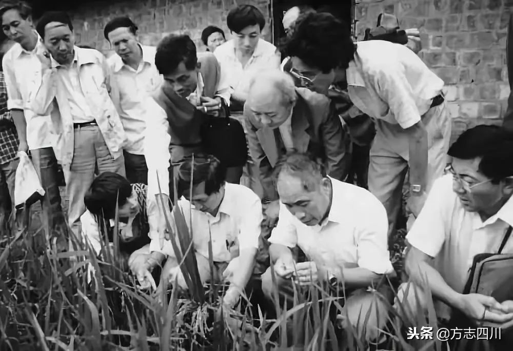 1999年改革开放大事记是什么,1988年四川改革开放大事记