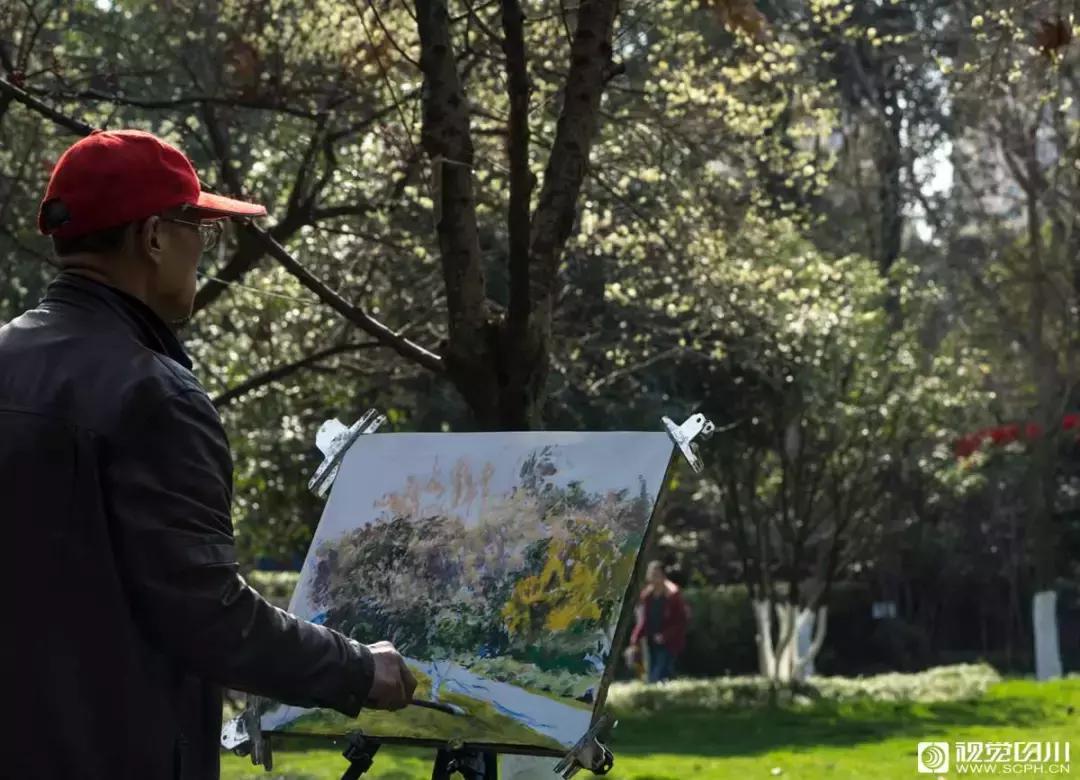 冰雪与花海齐飞！二月的四川美翻了......