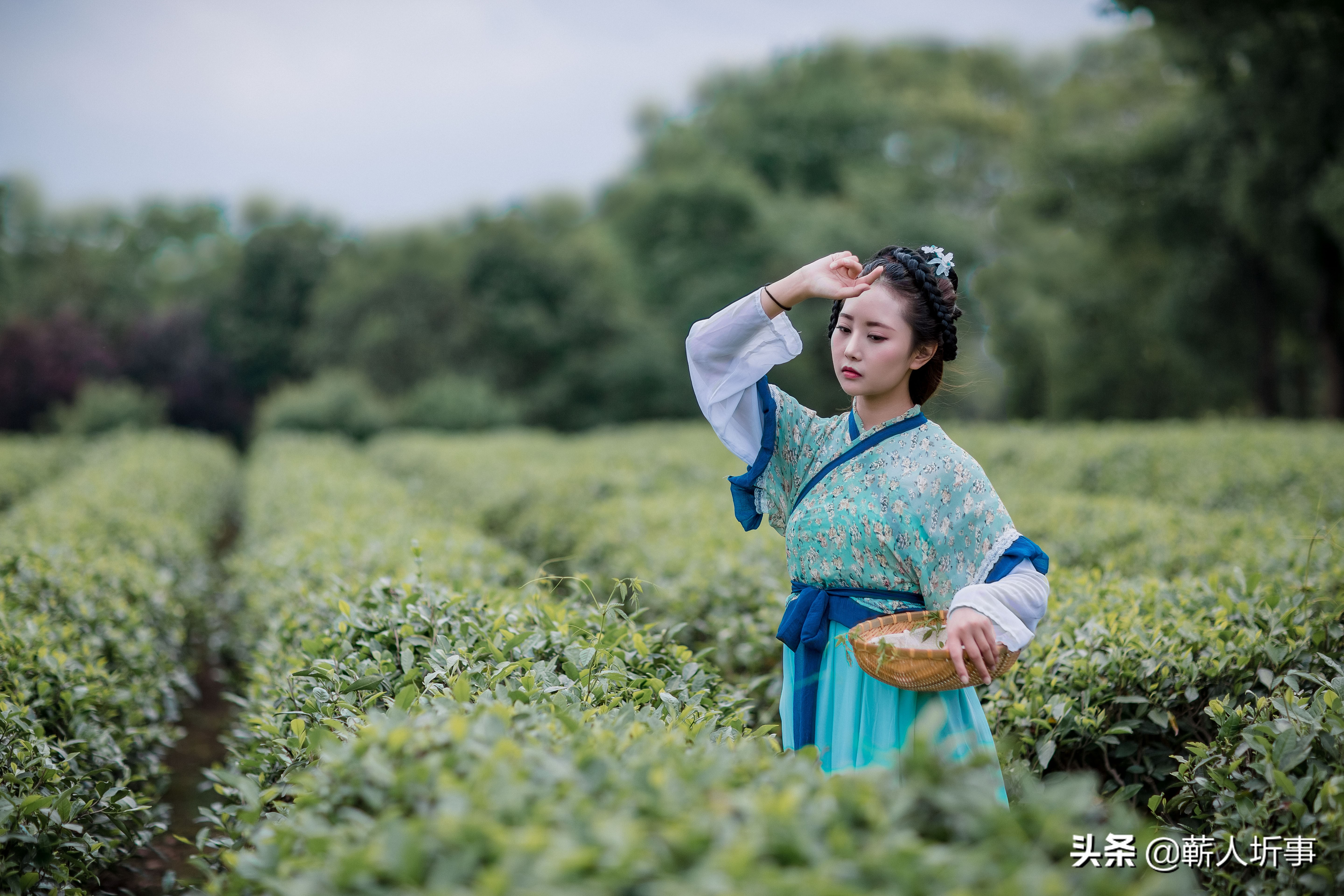 陈如诗词丨卷叶秋风瘦,吹开月上黄