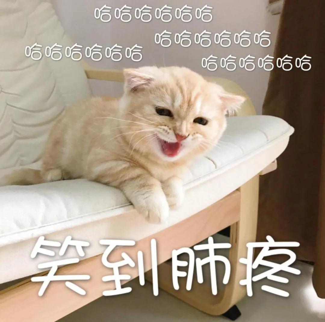 放弃CR-V、奇骏选择2020款马自达CX-5车主说主要是三个原因