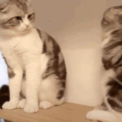 上厕所没有厕纸只能用绳子,上厕所没有卫生纸能用吗