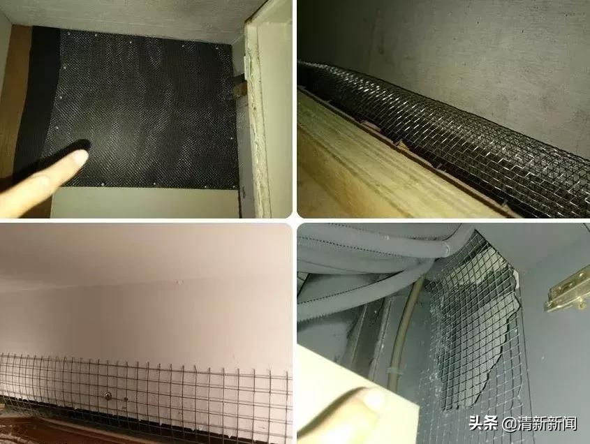 家里老鼠多有什么吓老鼠的神器,防止家里老鼠进屋