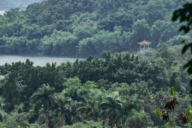 又发现深圳一个“绝美打卡地”!“淘金”绿道,人少免费