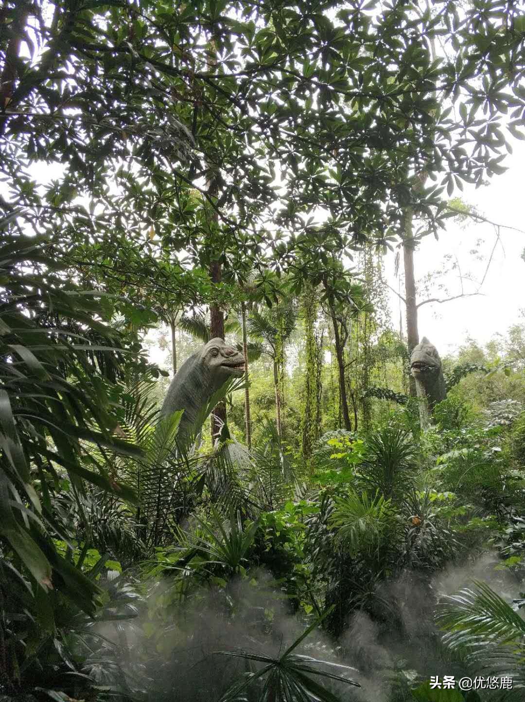 广州长隆野生动物园自驾大马戏,广州长隆野生动物园攻略马戏表演