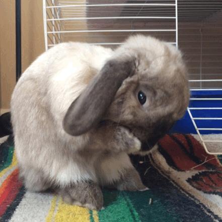 大脚趾肚偶尔钻心疼痛是什么原因,大拇脚趾边上肉钻心的疼是咋回事