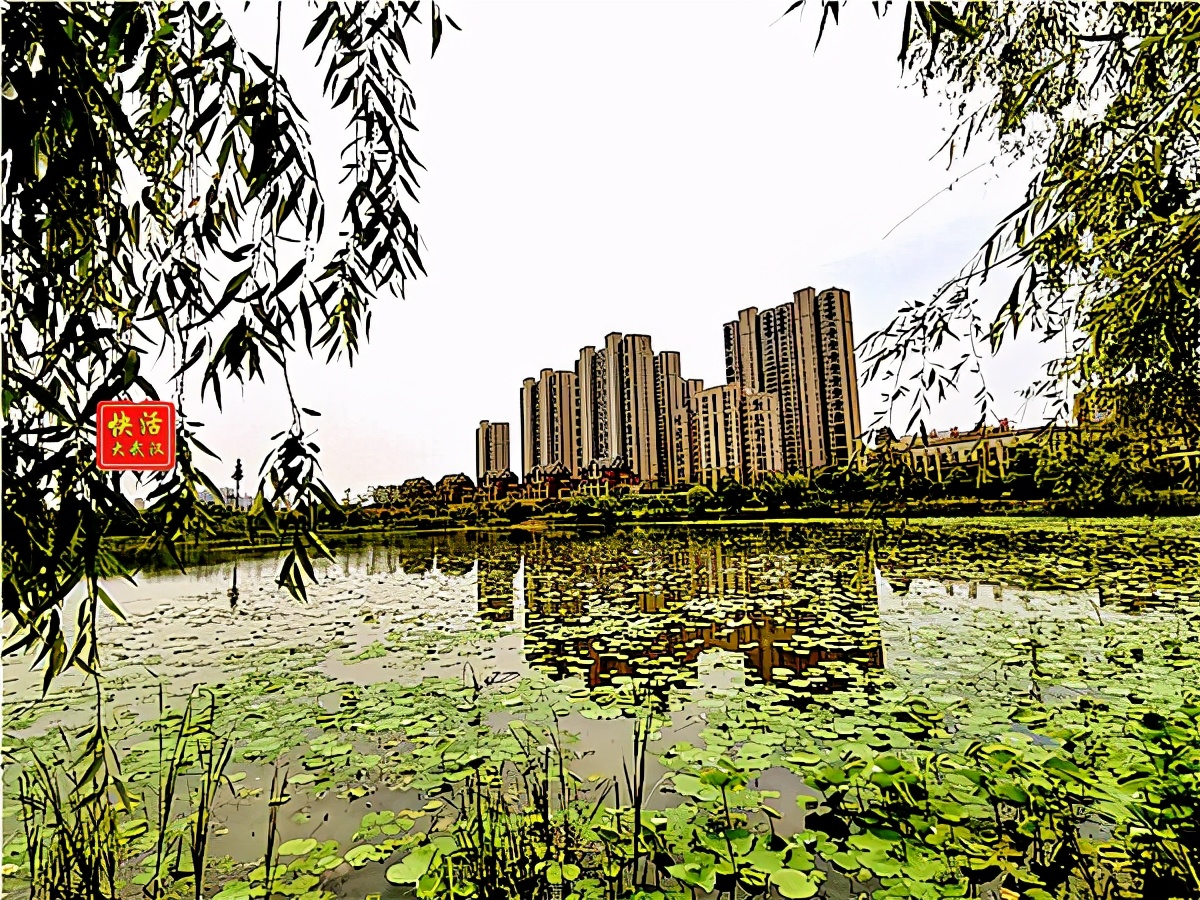 换个视角带你看园博园,换个角度看江滩