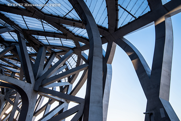 鸟巢国家体育场露天下雨怎么办,鸟巢国家体育场直播
