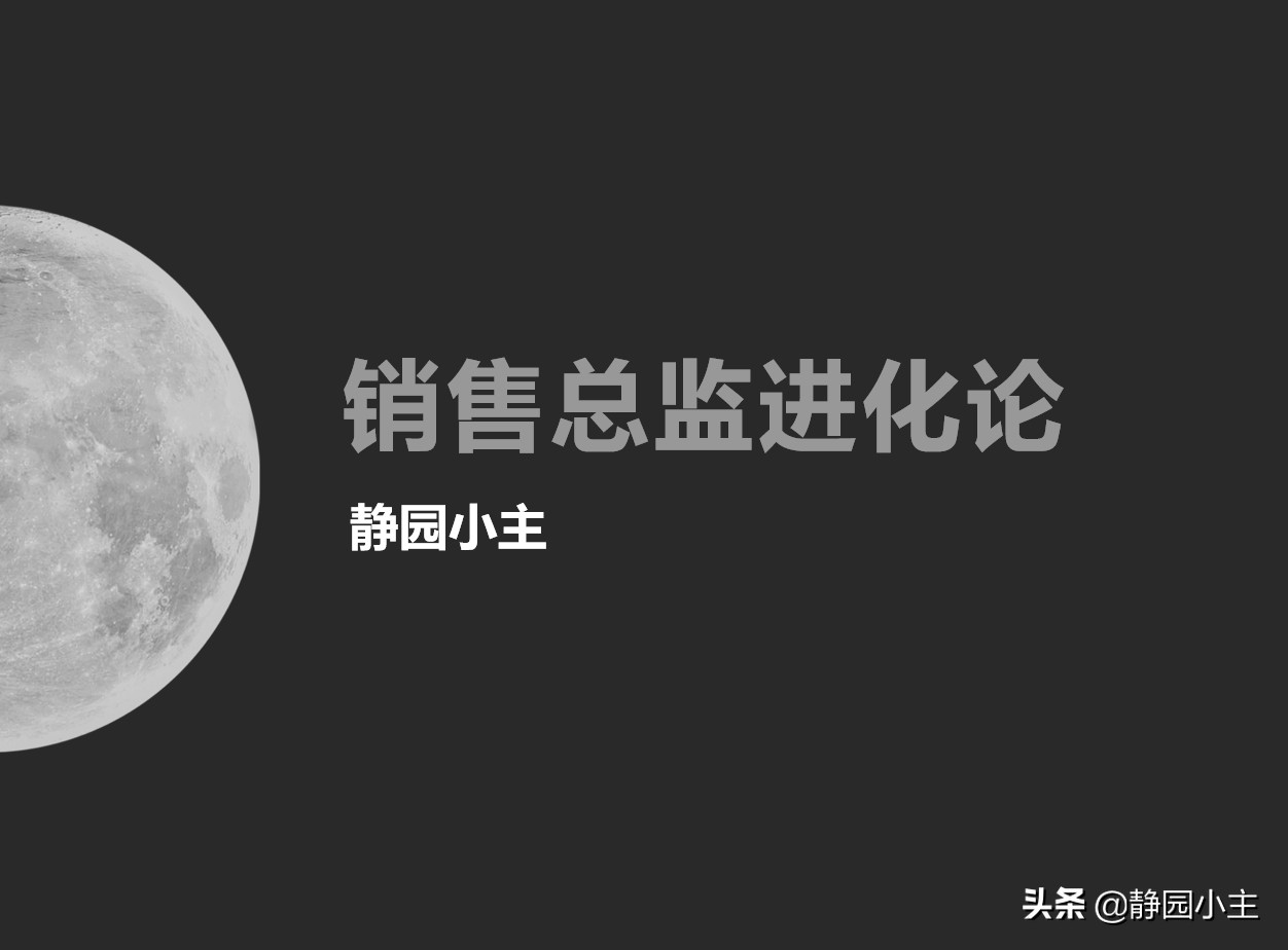 销售总监生活常识内容,销售总监每天必须做的事