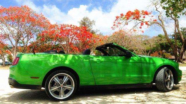 美国免签海岛旅游,美国唯一免签海岛是什么