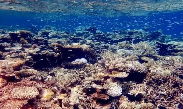 10-1马尔代夫,马尔代夫1万多岛屿推荐