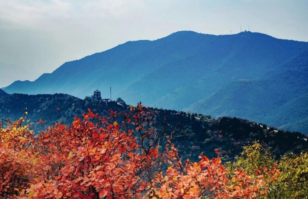 北京香山红叶旅游攻略,北京香山红叶风景摄影