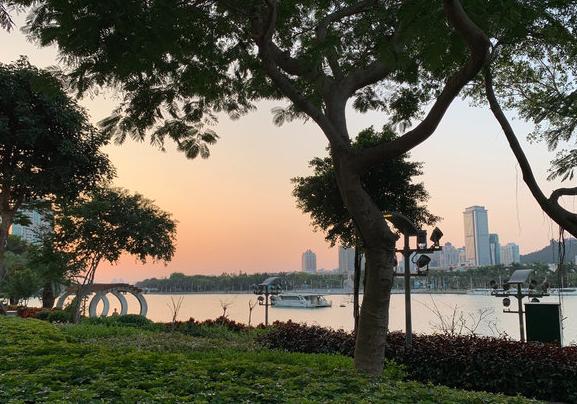 鸽群飞翔，厦门最大的全开放广场公园