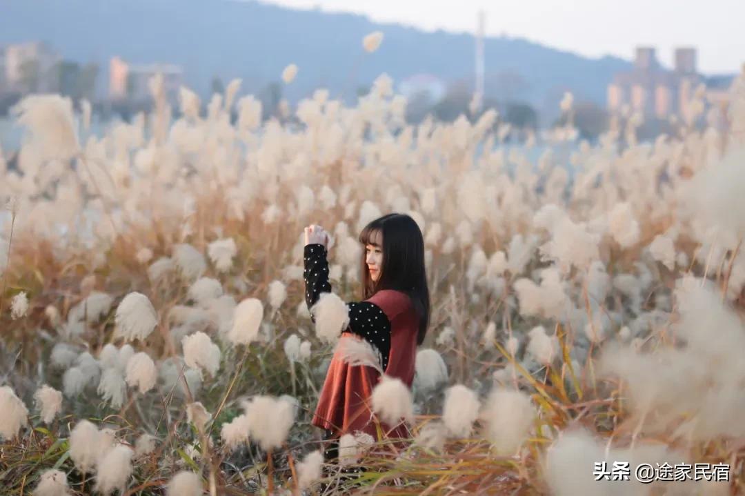 其实长沙还藏着很多小众景点,长沙一日游小众景点推荐