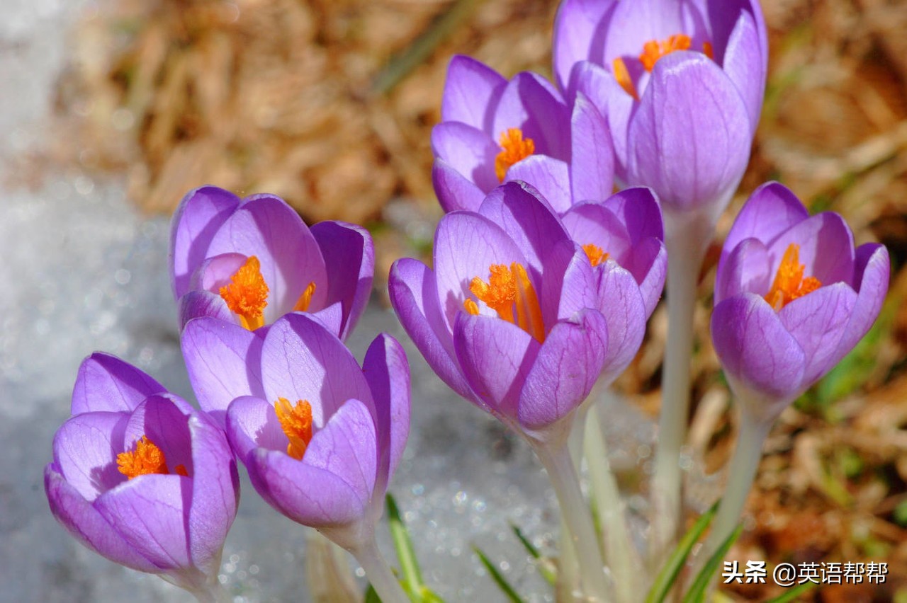 不规则动词过去式和过去分词高中,动词过去式变化规则归纳表高中