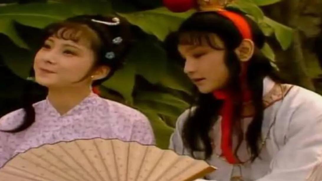 红楼梦晴雯好看吗,红楼梦晴雯虚名