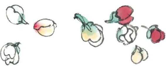 零基础梅花花朵入门画法,零基础学国画梅花入门步骤