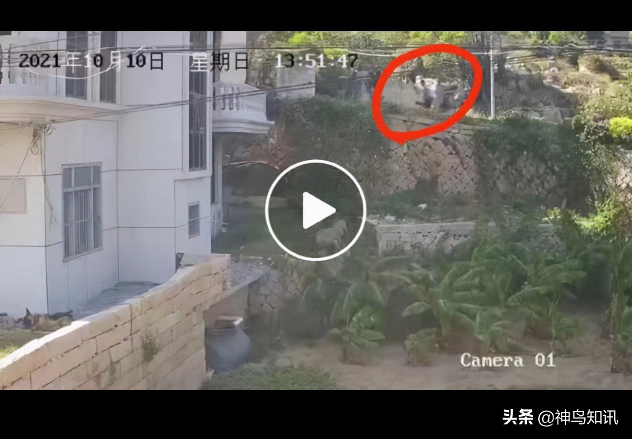 莆田市杀人案两死三伤最新进展,莆田2死3伤案嫌犯犯罪动机