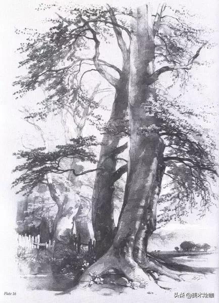 高清素描临摹风景图入门,素描画画教程7-12岁风景图