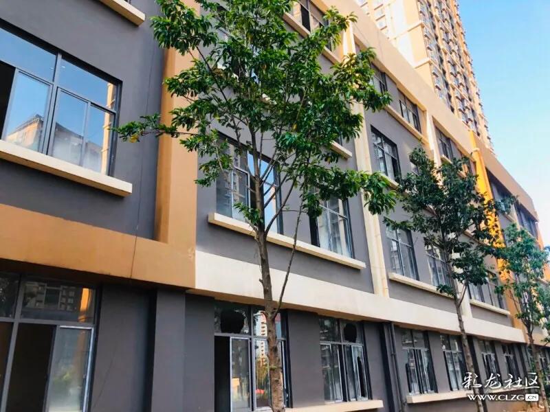 春城小学本部拆迁,春城小学金域校区基本情况