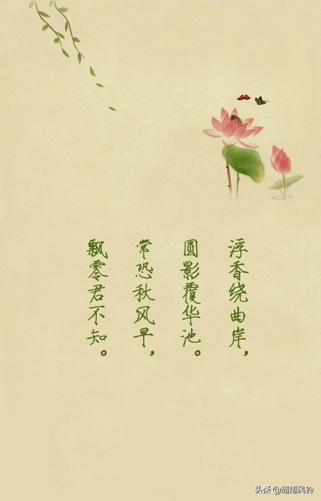 荷花出淤泥而不染全诗,满池荷花出淤泥而不染诗句