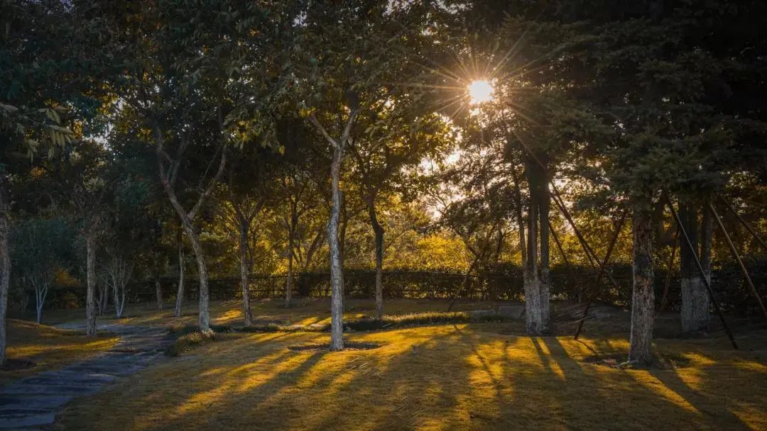 看,这是属于泉信的秋韵