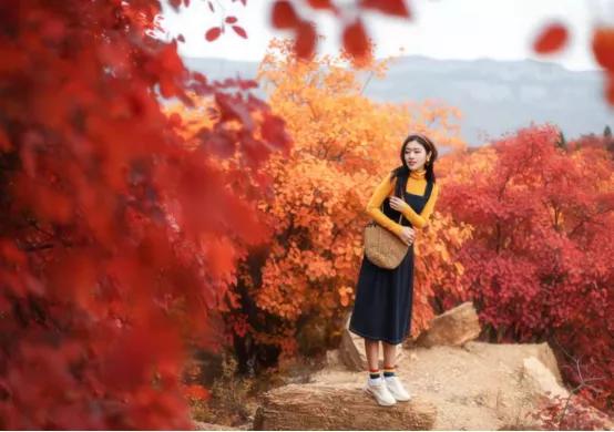 灵山秀水度深秋,灵山秀水堪称世外桃源