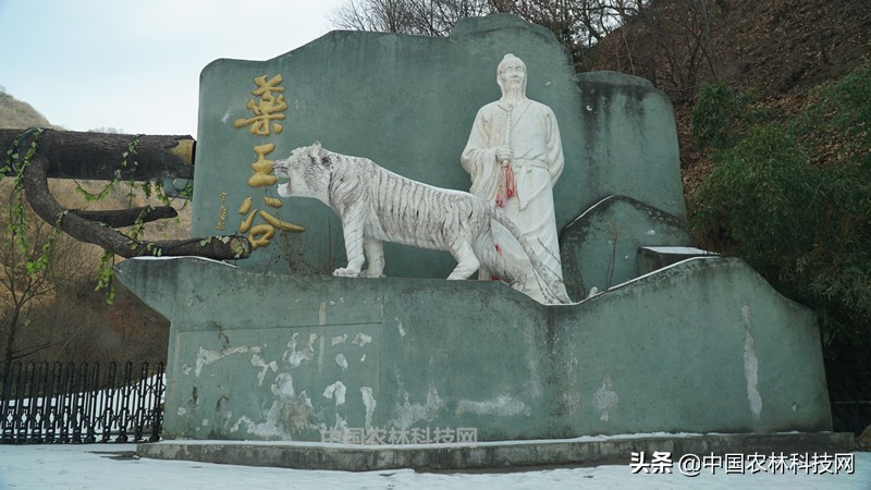 太白县鹦鸽镇药王谷,太白鹦鸽镇药王谷