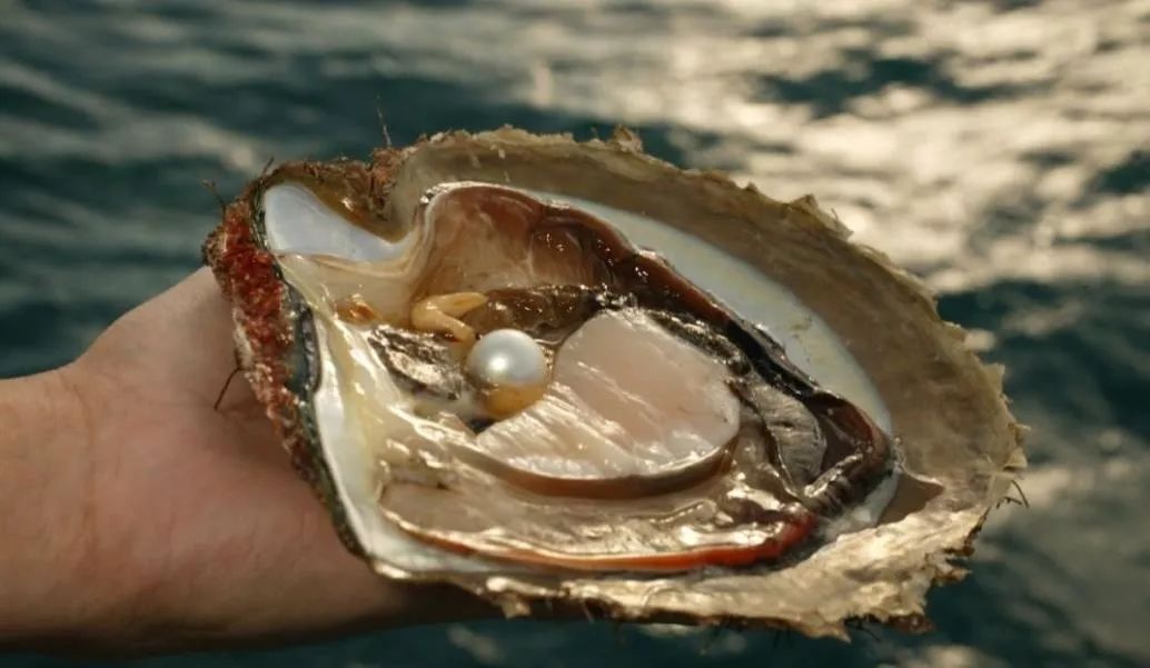 戴上珍珠发夹就是小仙女,当女人戴上眼镜