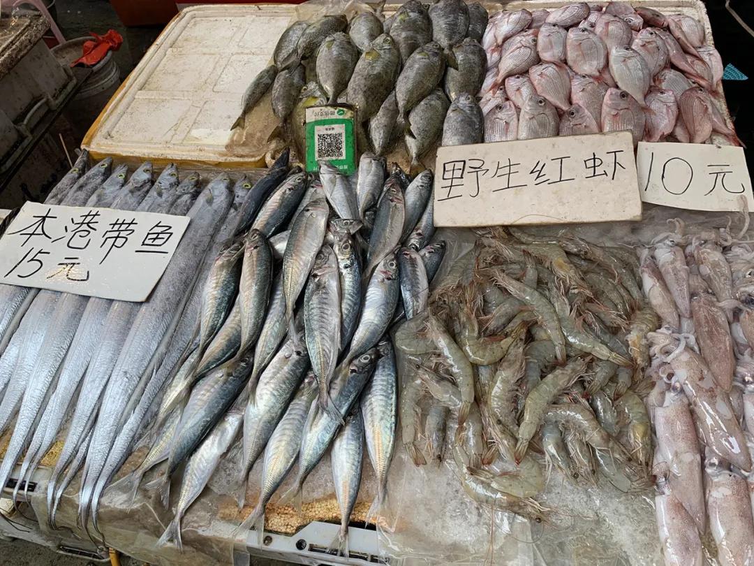 一次惬意的厦门之行,一家三口厦门玩四天