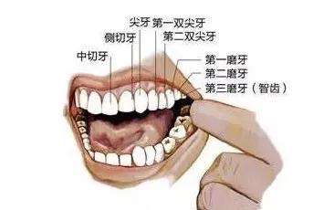 姚晨孩子片段,姚晨晒孩子视频全集