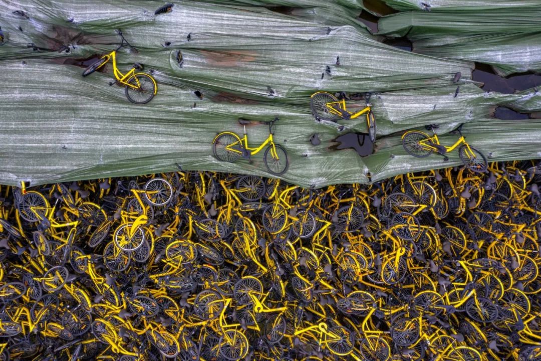 gq回应热搜,gq报道最新文章