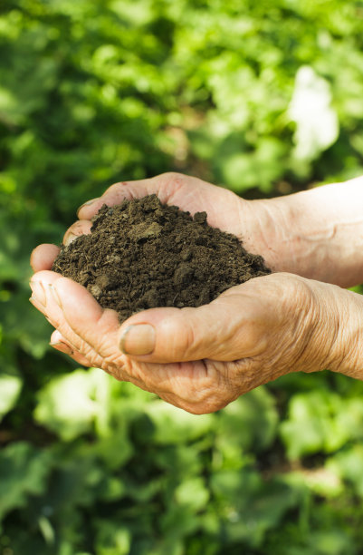 好土壤是什么样的土,好土壤的特征