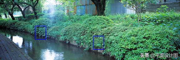 尼康和佳能全画幅怎么选,尼康18-135全画幅