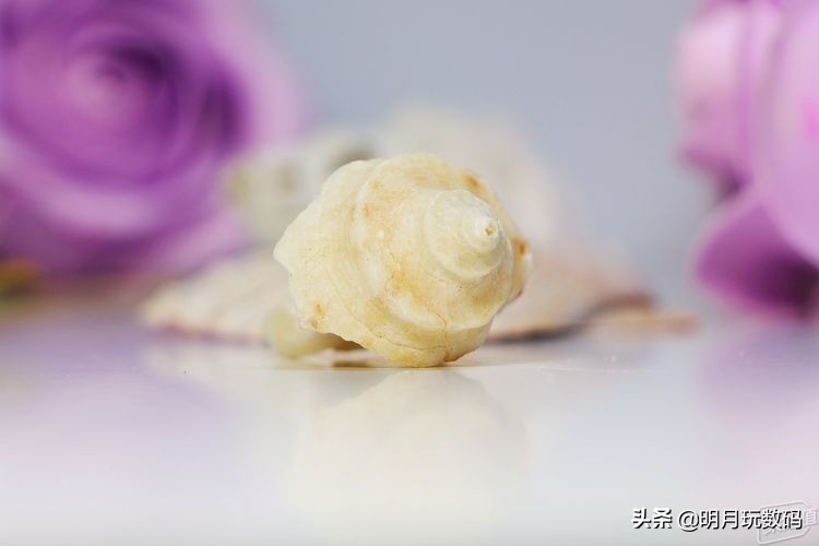 镜头uv镜选哪个好,镜头uv镜选购