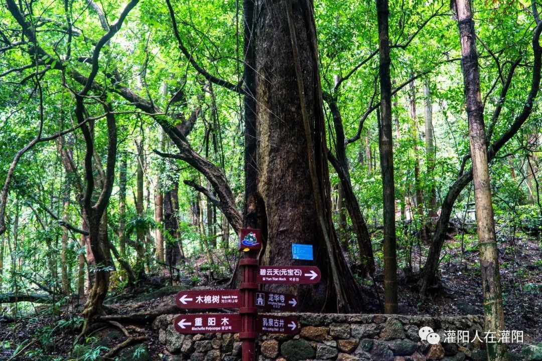 广西桂林灌阳县旅游,灌阳人在柳州