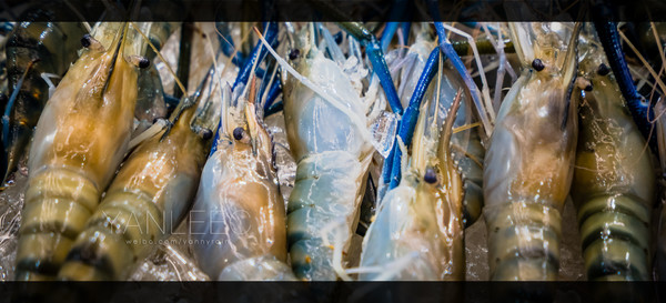 泰旅局发布2019年泰国旅游新玩法,曼谷漫游攻略