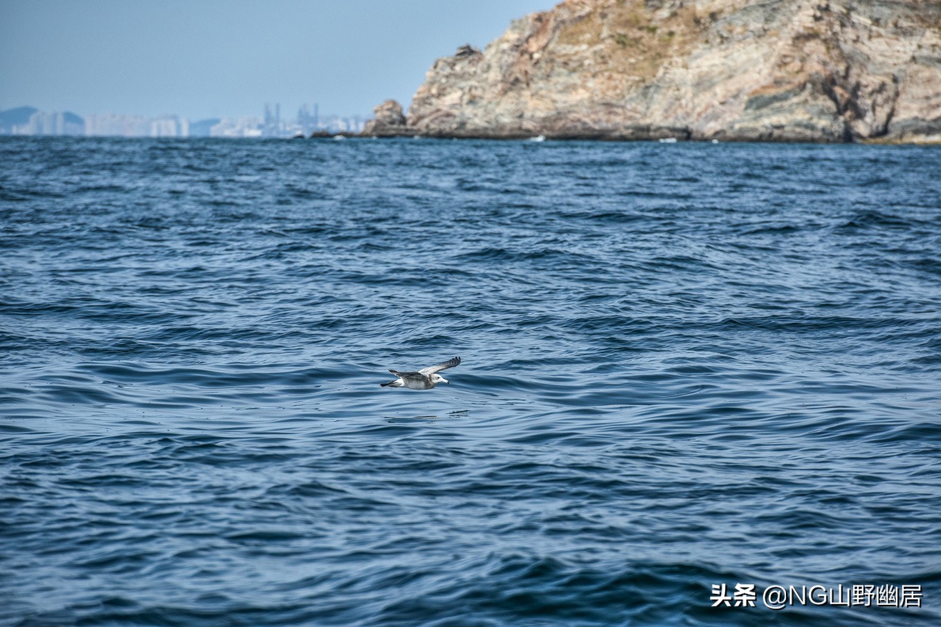 大连海钓黑鲪鱼视频,大连海钓日常巡岸