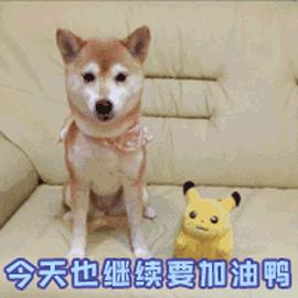 素描初学者绘画工具,超写实素描用的工具