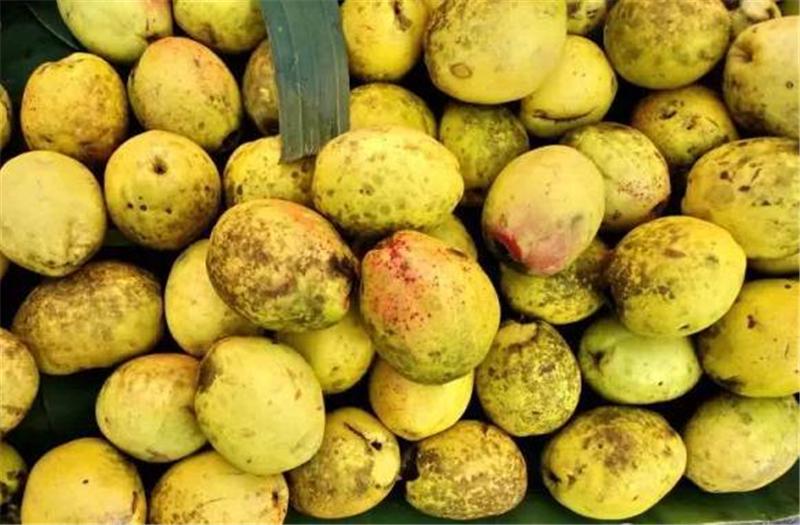 海鲜去除腥味的小技巧,猪皮去除腥味的技巧方法