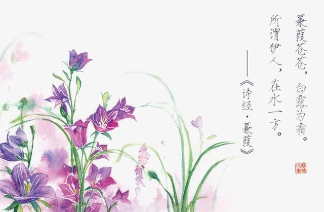 执子之手诗经典语录,诗经经典佳句解析