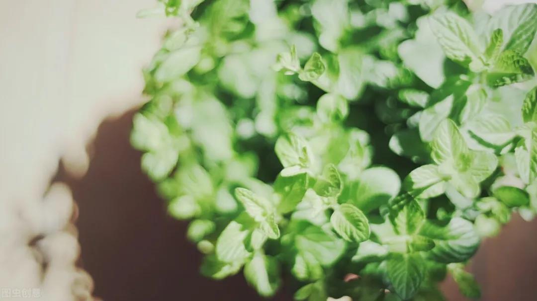 深爱过的人怎么才能忘掉,深爱过的人一生都忘不掉