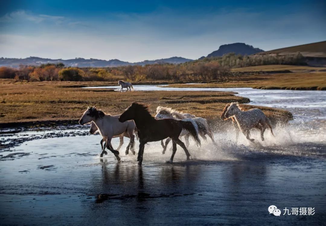 大美坝上草原全景,大美坝上风光系列之一